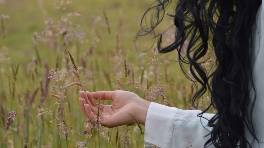 Bienvenido a  la nueva Web